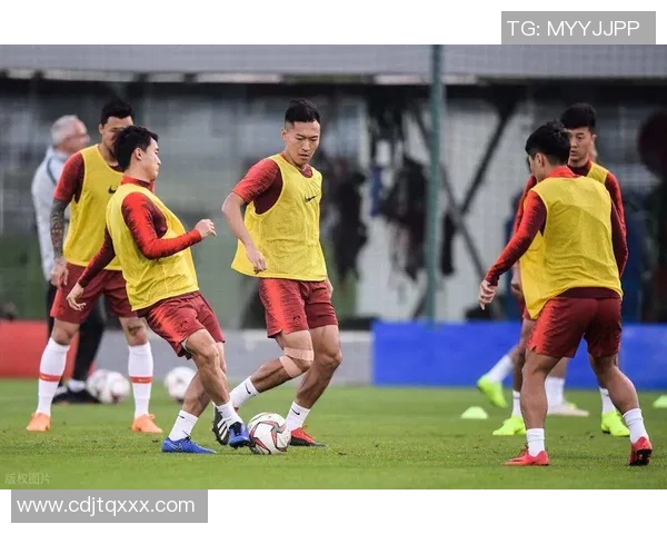 足球明星无驾照上路引发争议球迷热议安全与责任问题